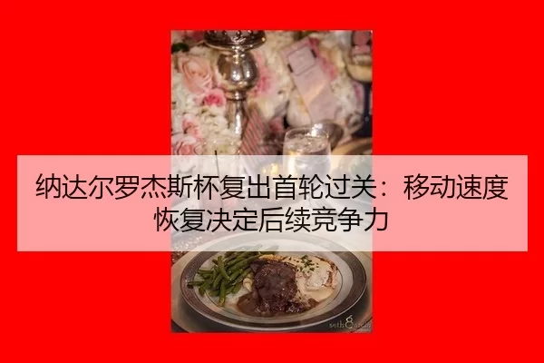 na-da-er-luo-jie-si-bei-fu-chu-shou-lun-guo-guan-yi-dong-su-du-hui-fu-jue-ding-hou-xu-jing-zheng-li-2-922.jpg
